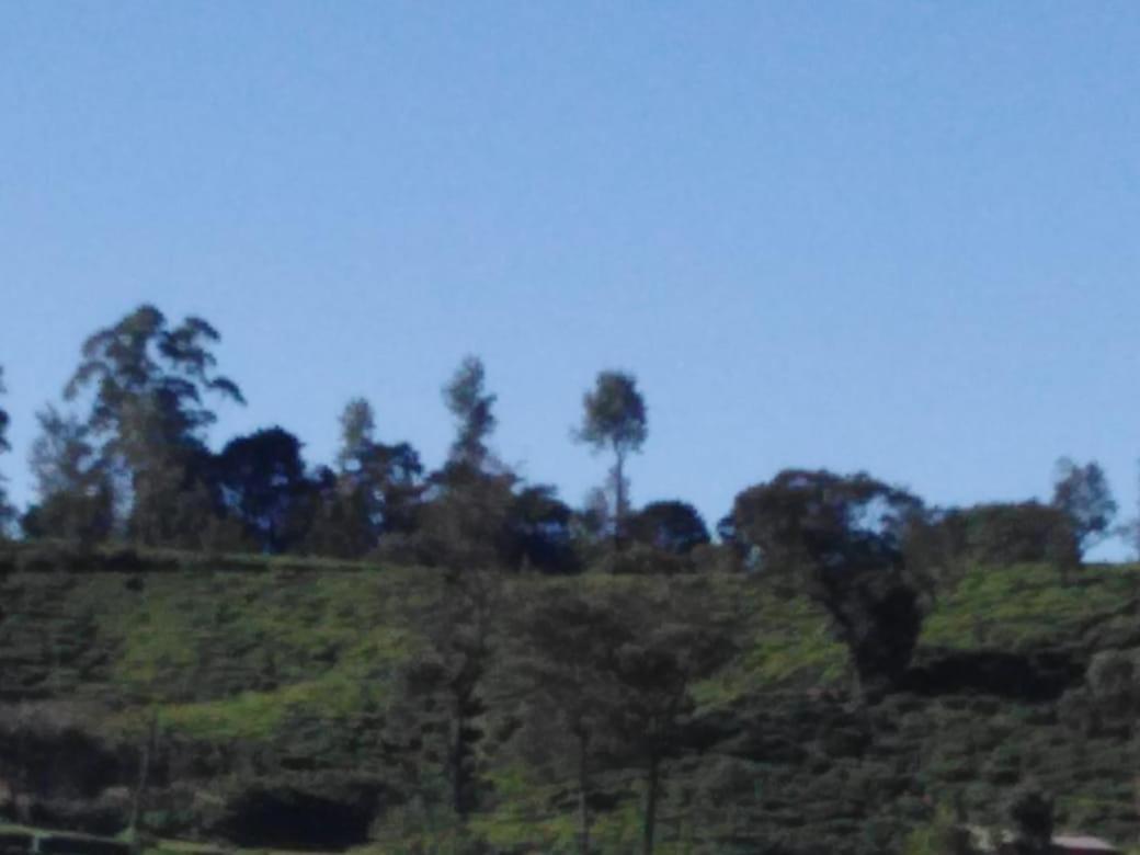 Frosty Heaven Guest House Nuwara Eliya Exterior foto